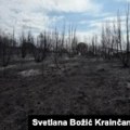 U Srbiji aktivno 35 požara, najozbiljnije i dalje u Deliblatskoj peščari