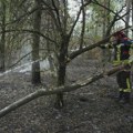 Borba sa požarom u selu Lukovo kod Vranja, vatra se širi prema Bareliću
