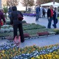 Festival cveća u Zrenjaninu