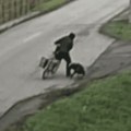 Pas pobegao iz dvorišta, srušio poštarku sa bicikla, ujedima je od nje napravio invalida: Vlasnik optužen za nanošenje…