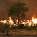 Gore hiljade hektara šume u regionu – najteže u Hrvatskoj i Severnoj Makedoniji