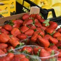 "Kokteli pesticida" u jagodama: Analizirani uzorci iz 11 zemalja Evrope: Rezultati šokirali potrošače, evo gde su najzagađenije…