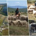 Dado se odrekao velike zarade u Libiji i vratio u rodno selo: Evo šta radi na dedovini i tvrdi da nikad nije bio srećniji