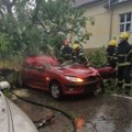 Žena stradala u nevremenu u Somboru: Stablo palo na vozilo kojim je upravljala