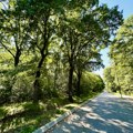Vreme u Kragujevcu: Sunčano do 28 stepeni