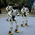 Izgleda da su roboti Milutin i Dragutin na turneji, večeras su u Leskovcu
