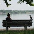 Naslovne strane za subotu, 4. jul 2026. godine