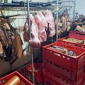 Uhapšen P. D. zbog sumnje na promet svinjskog mesa u Sremu