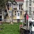 Incident u Priboju: Posečeno drvo umesto na prazan prostor palo na zgradu, razbijen prozor na jednom od stanova (FOTO)