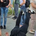 Građani pružaju podršku momku koji je nokautirao "ćacija" u Futogu
