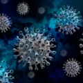 Infektolog Nožić: Andski hantavirus se može preneti s čoveka na čoveka, nema rizika od pandemije