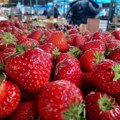 Evo kako da produžite svežinu jagoda: Dovoljno je da znate kako pravilno da ih operete