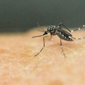Alarm u komšiluku! Registrovan prvi slučaj zika virusa u zemlji tik do Srbije - evo odakle je stigla zaraza, koji su simptomi…