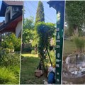 Ovo su najlepša užička dvorišta! Nagrade odnele Vesna, Ivana i Milina (foto)