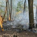 Bukti u Crnoj Gori: Požari aktivni u 11 opština, helikopteri u akciji