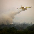 Gori na ulazu u Zadar, požar gasi 11 vatrogasaca i dva aviona