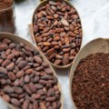 Какао постао скупљи од бакра, продаје се за више од 9.000 долара по тони