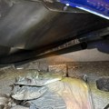 Kokain u rezervnom točku: Dvoje uhapšenih na graničnom prelazu sa Crnom Gorom (foto/video)