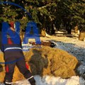 Snežni nanosi preko metar, ljudi zavejani: Spasioci iz Bijelog Polja nakon teške borbe uspeli da dopreme hranu do zarobljenih…