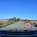 Čudo na putu! Vozač iz okoline Šida sve snimio: Iz kola zabeležio neobičnu pojavu nasred kolovoza u oktobru