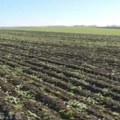 Општина Бујановац нуди пољопривредно земљиште у закуп