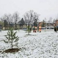 Grad dobija 110 novih sadnica