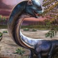 Kako je izgledao Nagatitan? Naučnici na Tajlandu otkrili fosil nove vrste dinosaurusa