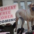 Južna Koreja i pseće meso u ishrani – zakon zabranjuje, stariji vole, mladi izbegavaju