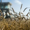 Baltičke zemlje, Poljska i Češka traže zabranu uvoza ruskog žita