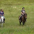 Očuvanje autohtone vrste konja na imanju u Amzićima (VIDEO)