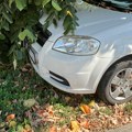 U Aveniji samo bahato