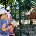Međunarodni dan zaštite dece obeležen u borskom zoo-vrtu drugu godinu za redom