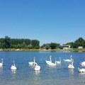 Pokrajina ulaže u uređenje jezera u Bačkoj Palanci - Za sanaciju Tikvare izdvojiće 75 miliona dinara