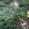 Mladi iz Vučja sami sredili korito reke u centru varoši