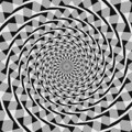 Optička iluzija podelila mišljenja: Da li vidite krugove ili spiralu?