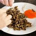 Istraživanje pokazalo šta jedenje insekata može da uradi našem metabolizmu