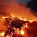 Drama u nacionalnom parku Durmitor: Vatra ugrozili biljni i životinjski svet