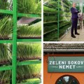 Zeleni sokovi pobeđuju bolesti Ivanišević posetio palićku kompaniju osnivača koji je dva puta pobedio kancer
