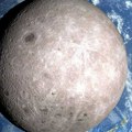 Prva životinja je na Mesec stigla iz sssr, ali nije Lajka: Obišla je ovaj satelit i bezbedno se vratila kući