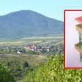 Niče nova-stara atrakcija na Guduričkom vrhu vršačkih planina Temelji za vidikovac
