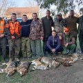 Grupni lovovi na predatore Šakali i lisice odstreljeni u Plandištu, Irigu, Staparu i Sopotu