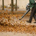 JKP Čistoća iz Novog Sada nudi 250 miliona dinara na tenderu da drugi rade njen posao