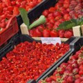 U Karađorđevcu održani po trinaesti put „Dani jagode“