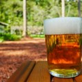 Večeras počinju 41. Dani piva u Zrenjaninu