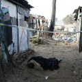 Opsadno stanje u glavnom gradu, strah se uvukao u kosti! Pronađena tela devet brutalno ubijenih žena, sumnja se da je reč o…