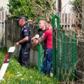(Foto, video) ubica Danke Ilić doveden pred kuću: Policija ga uvela u dvorište nakon što je ispumpala septičku jamu u…