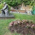 Kradu cveće sa gradskih trgova: Ružna navika pojedinih Vrščana ponovo izašla na videlo