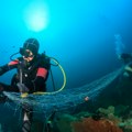 Otkrivena nova životinjska vrsta: Dobila ime po jednoj baki FOTO