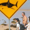 Četiri napada ajkula na ljude u Australiji za 48 sati