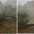 Zastrašujući snimci oluje Vetar lomio sve pred sobom, jako nevreme u komšiluku (video)